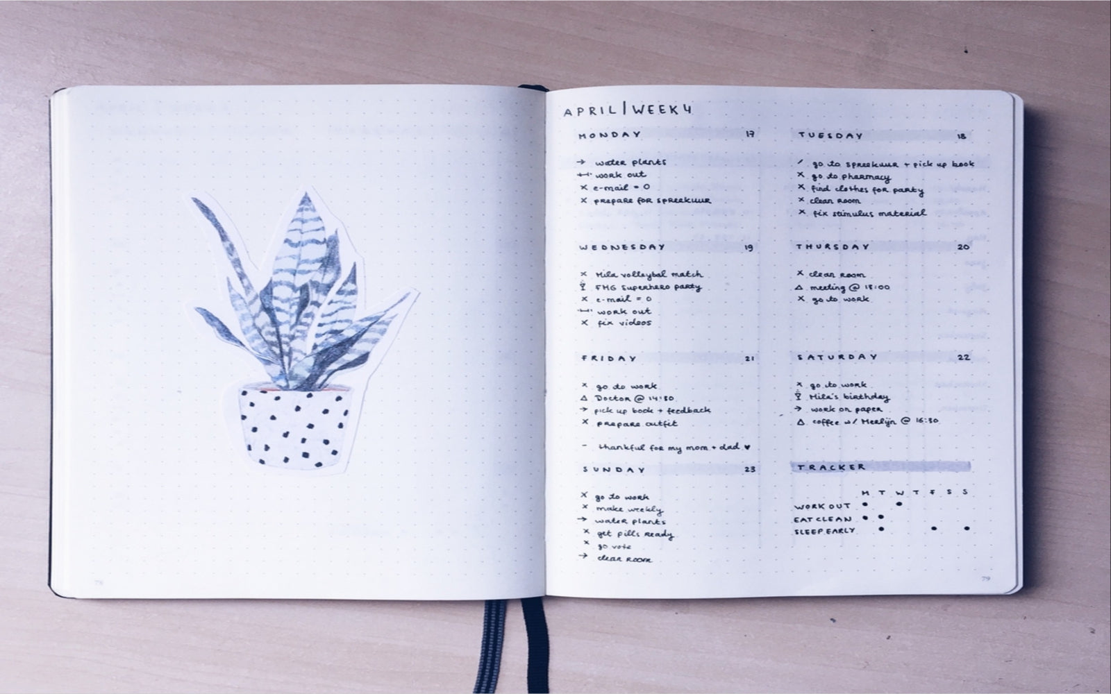 BuJo Show and Tell With @daintilynoted