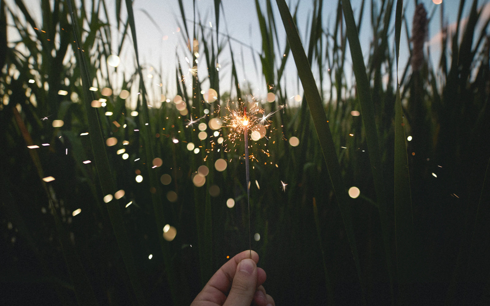 On Becoming Grateful