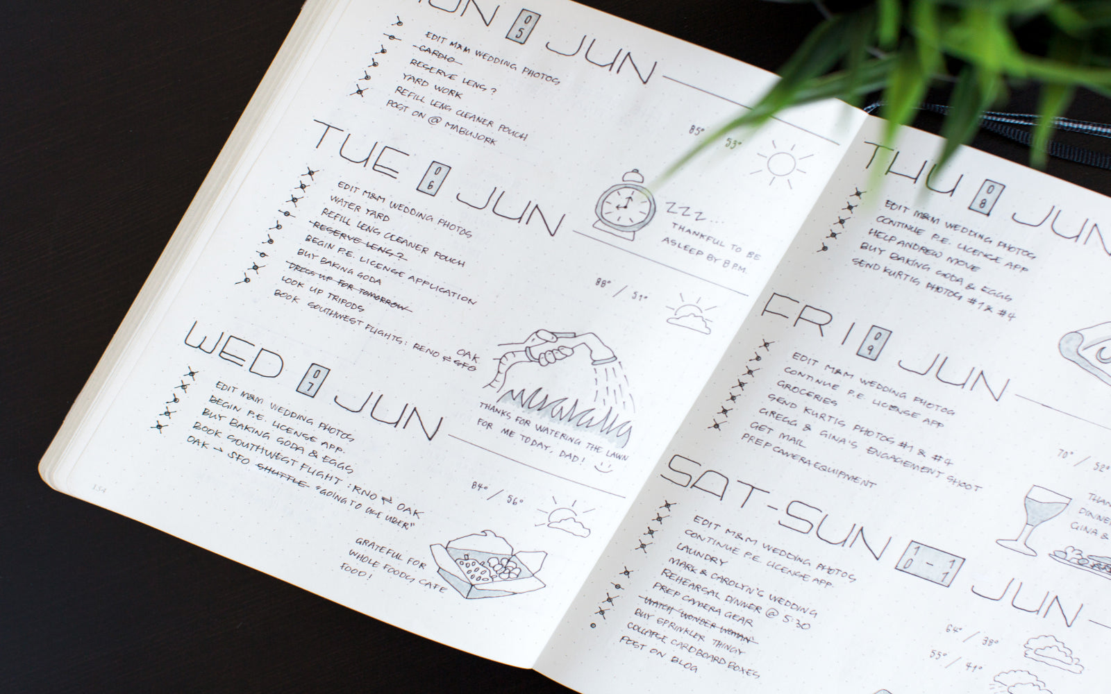 BuJo Show and Tell With @Mabujork