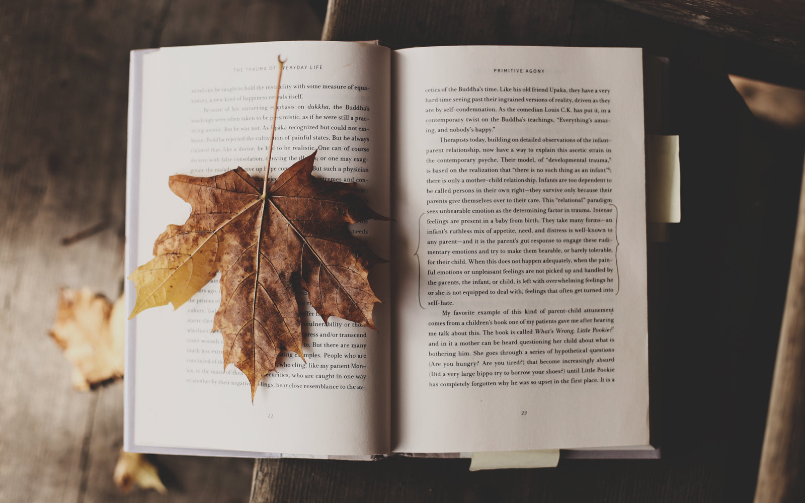 The Book Log Bullet Journal