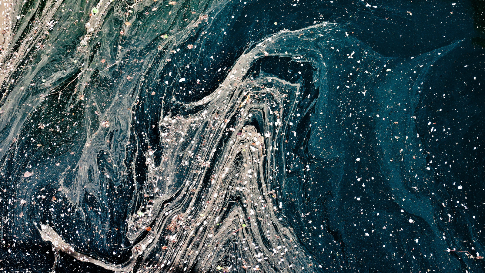 Finding Peace in Chaos