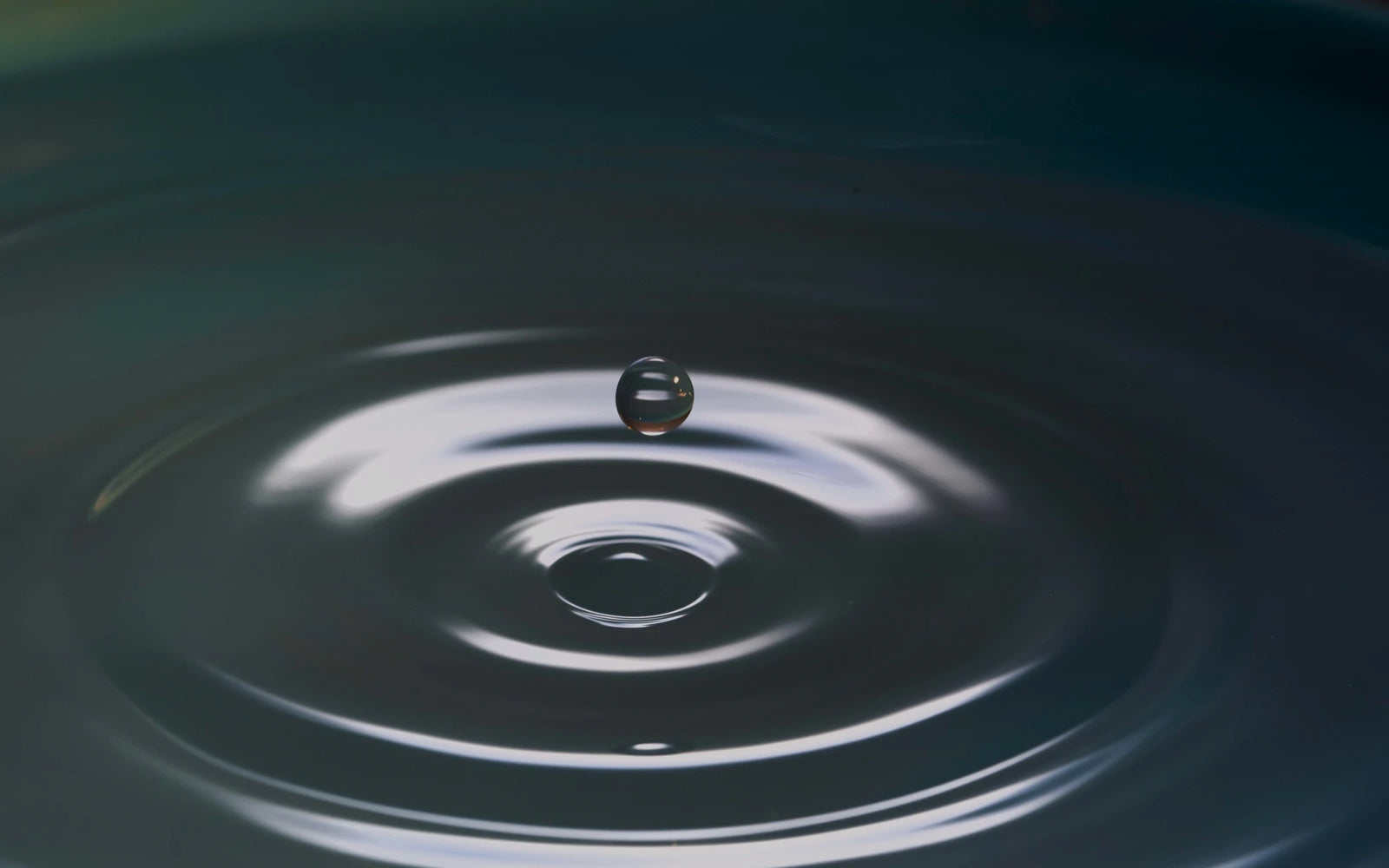 BuJo to Serve Communities