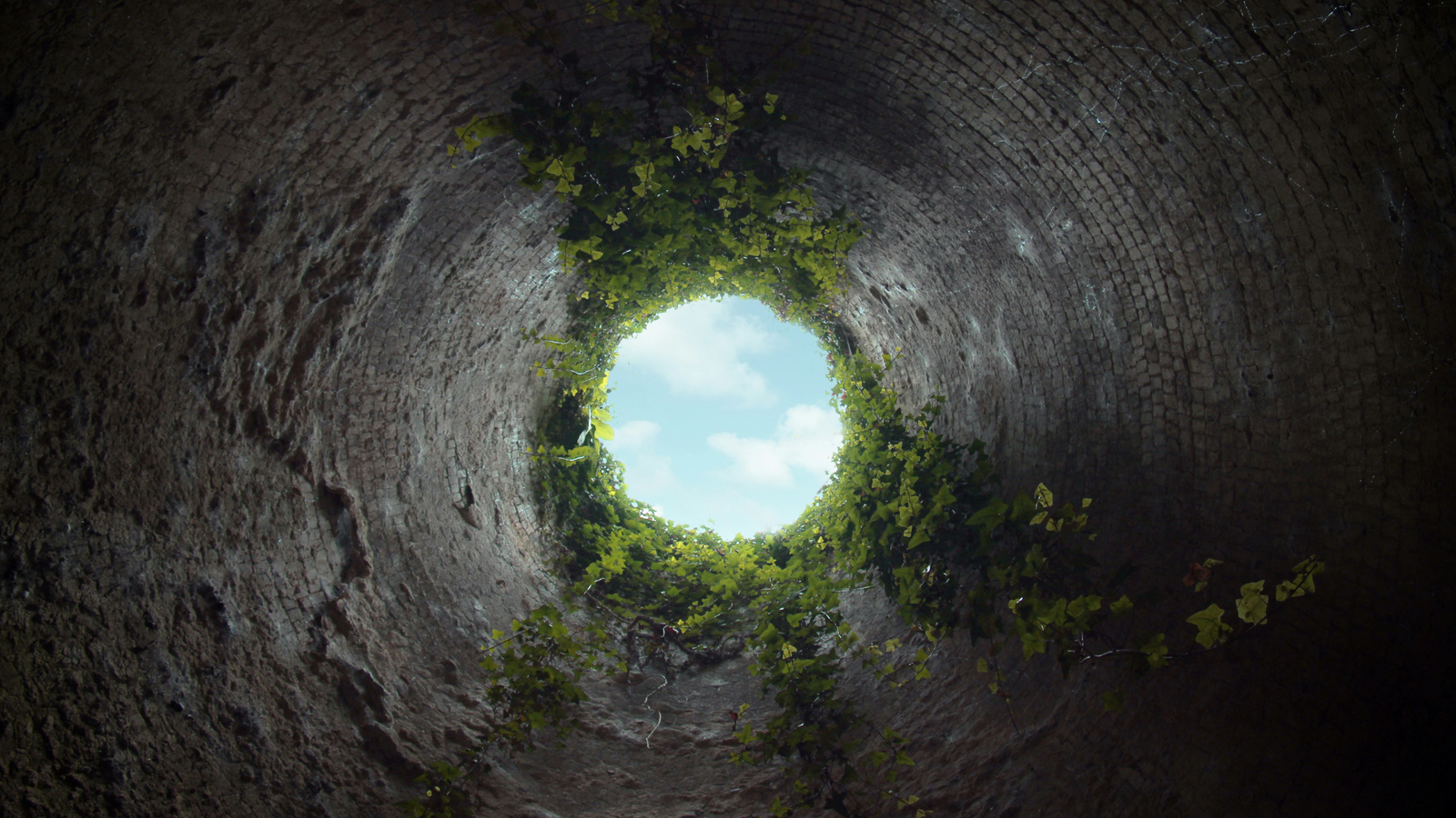 How to not fall down the feelings rabbit hole