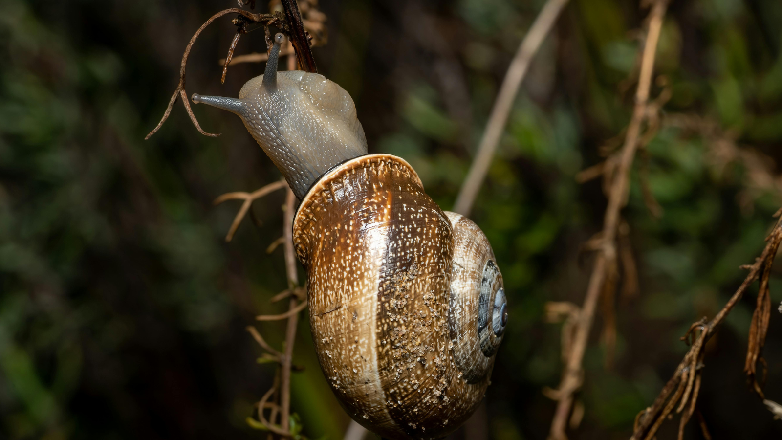 About Clicks, Shortcuts, Speed and Other Productivity Bullshit