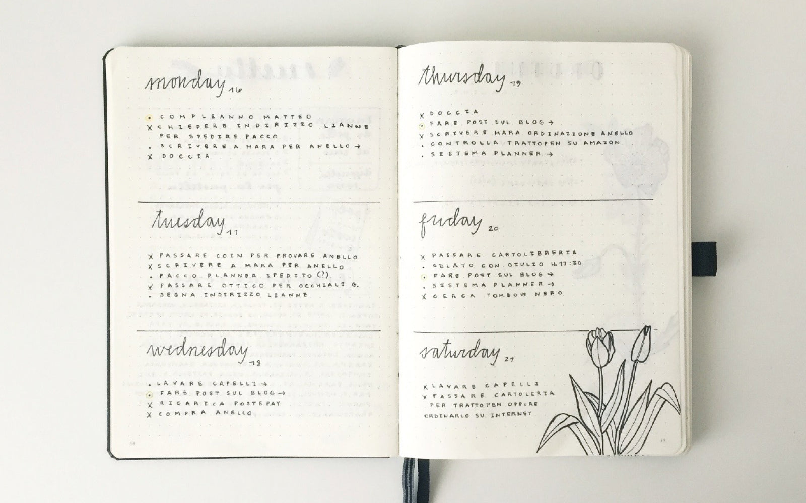 BuJo Show and Tell With @feebujo - Bullet Journal